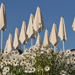 Hotel Propstei Sankt Gerold Blons (Vorarlberg)